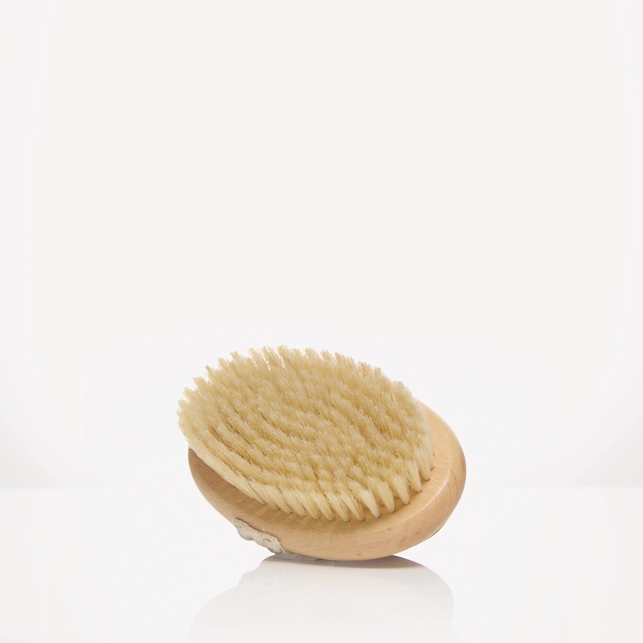 THE DRY BRUSH